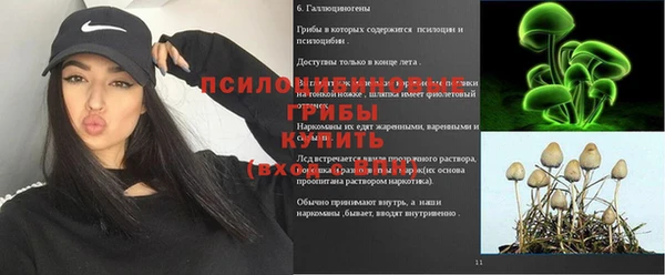 мет Богородск