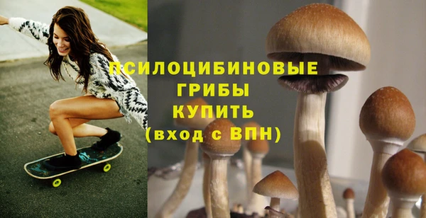 мет Богородск