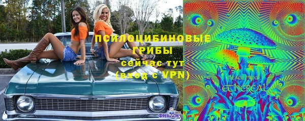 амфетамин Богданович